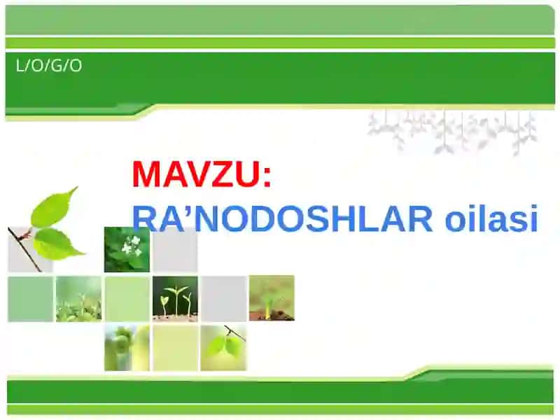 Ra’nodoshlar oilasi mavzusiga 1 soatlik dars ishlanmasi 3