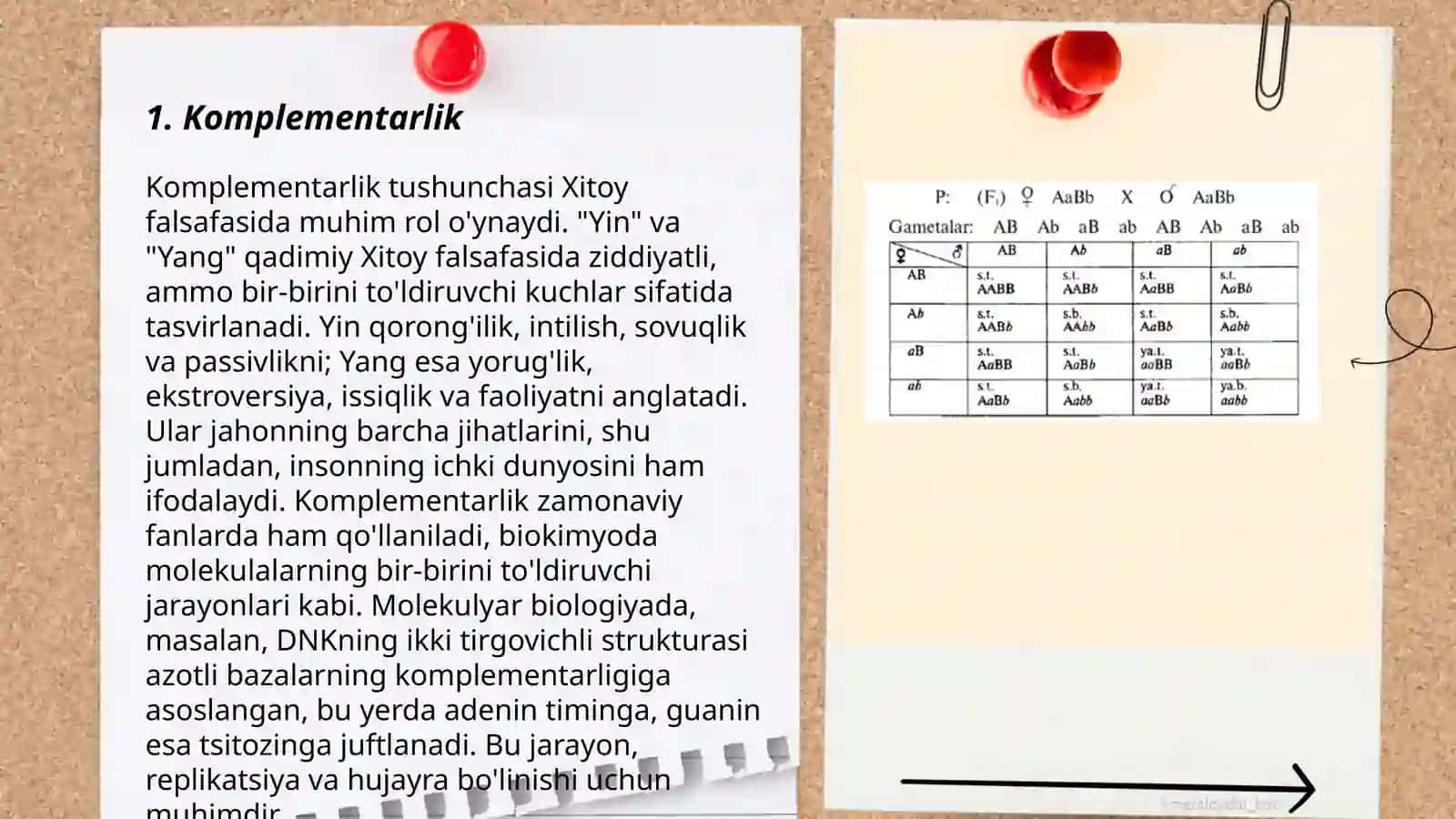 Komplementarlik, Epistaz, Modifikatsion genlar 3