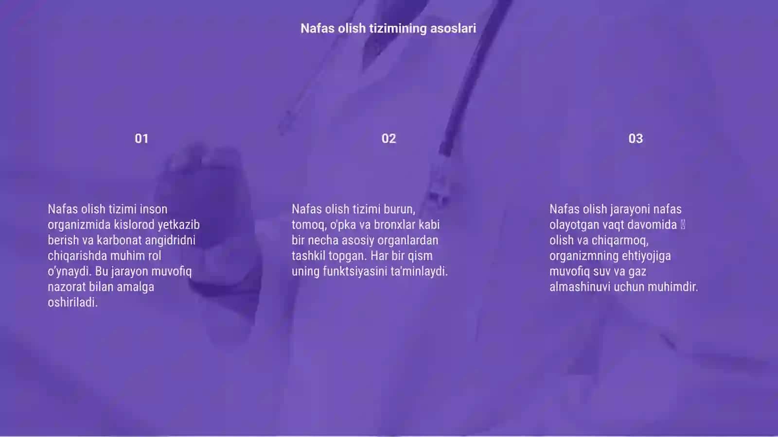 Nafas Olish Sistemasi 3