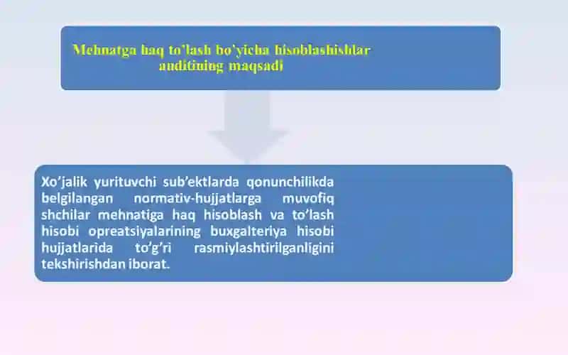 Mehnat haqi hisobi va to'lash jarayoni audit 3