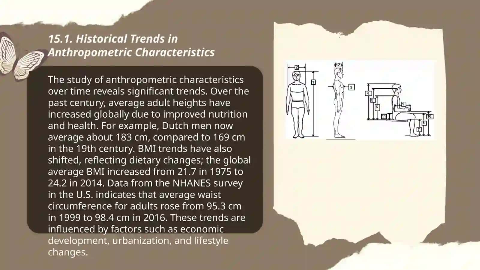 The regularity of variability of the distribution of anthropometric characteristics 3