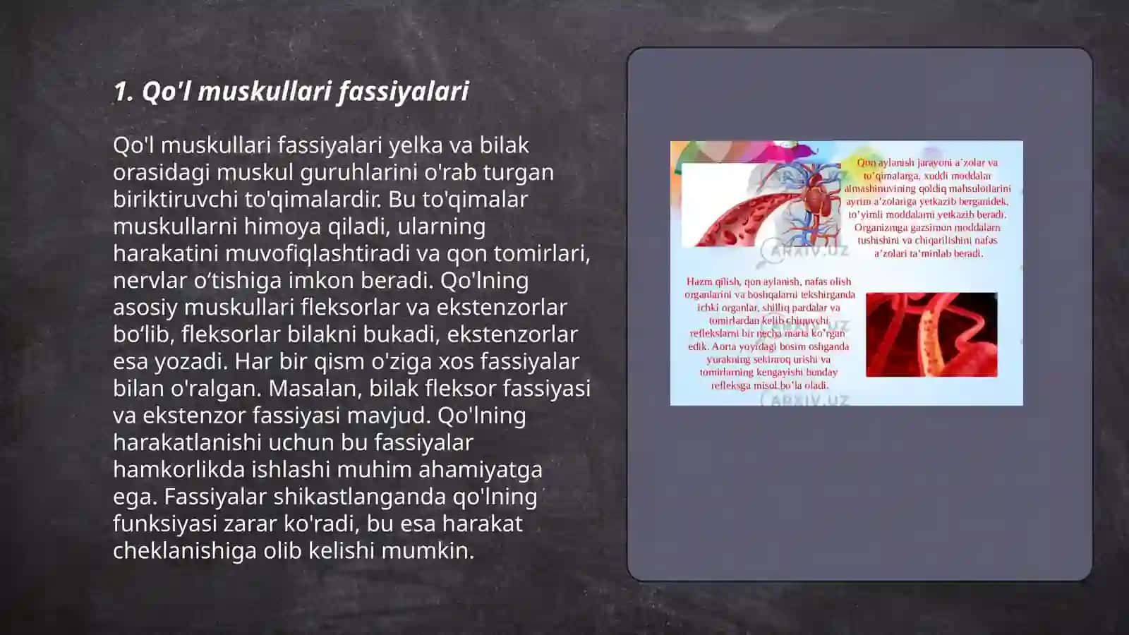 Qo’l va oyoq muskullarining fassiyalari 3