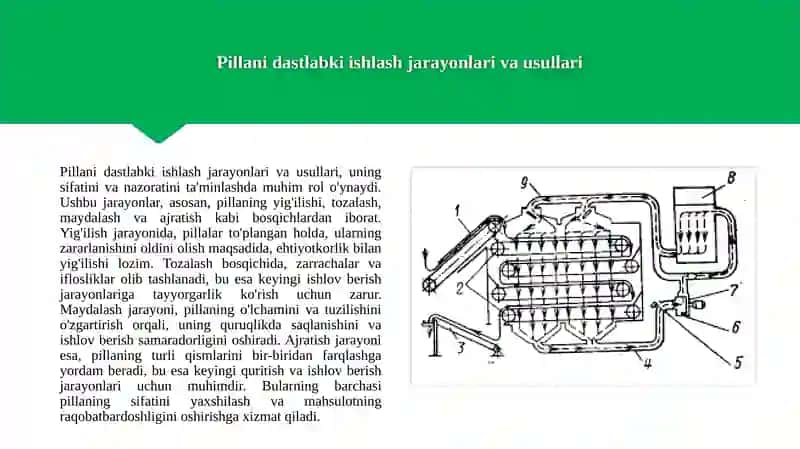 Pillani dastlabki ishlash va quritish texnologiyasi 3