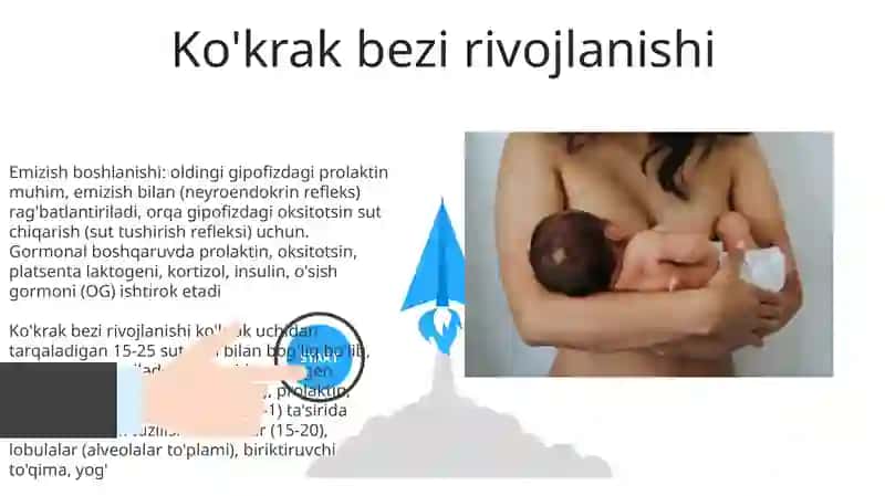 Sut bezlari gistaganezi va gistafizialogiyasi.Laktatsiya jarayonining neyra gumaral boshqaruvi 3