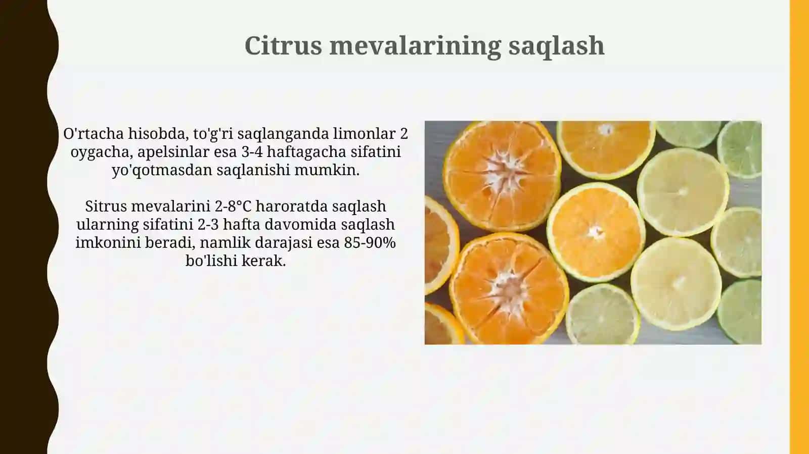 Sitrus mevalar 3
