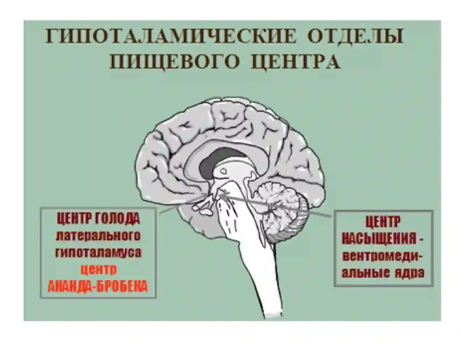 Фармакология 3