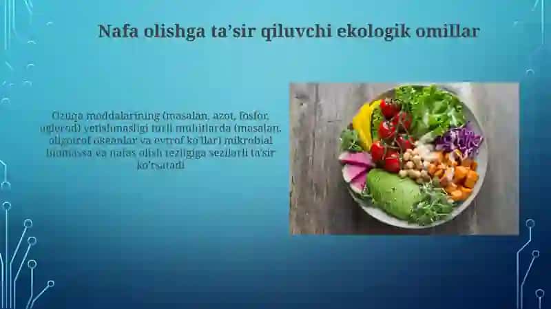 Mikroorganizlarning oziqlanishi va Nafas olishi 3