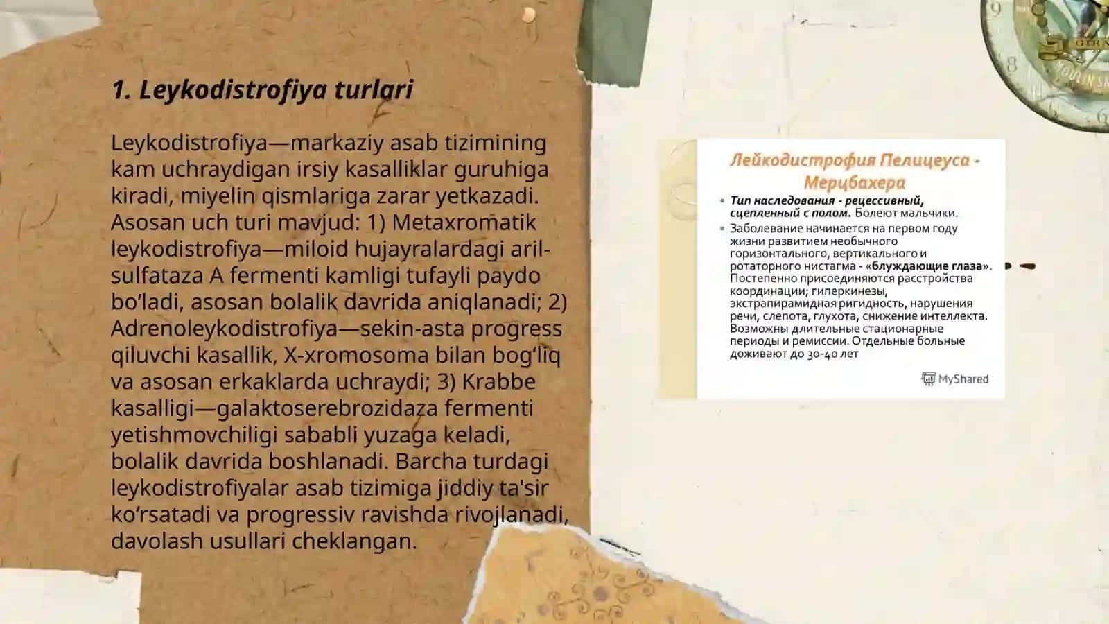 Leykodistrofiya 3