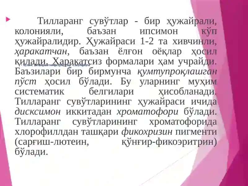 Ботаника 3
