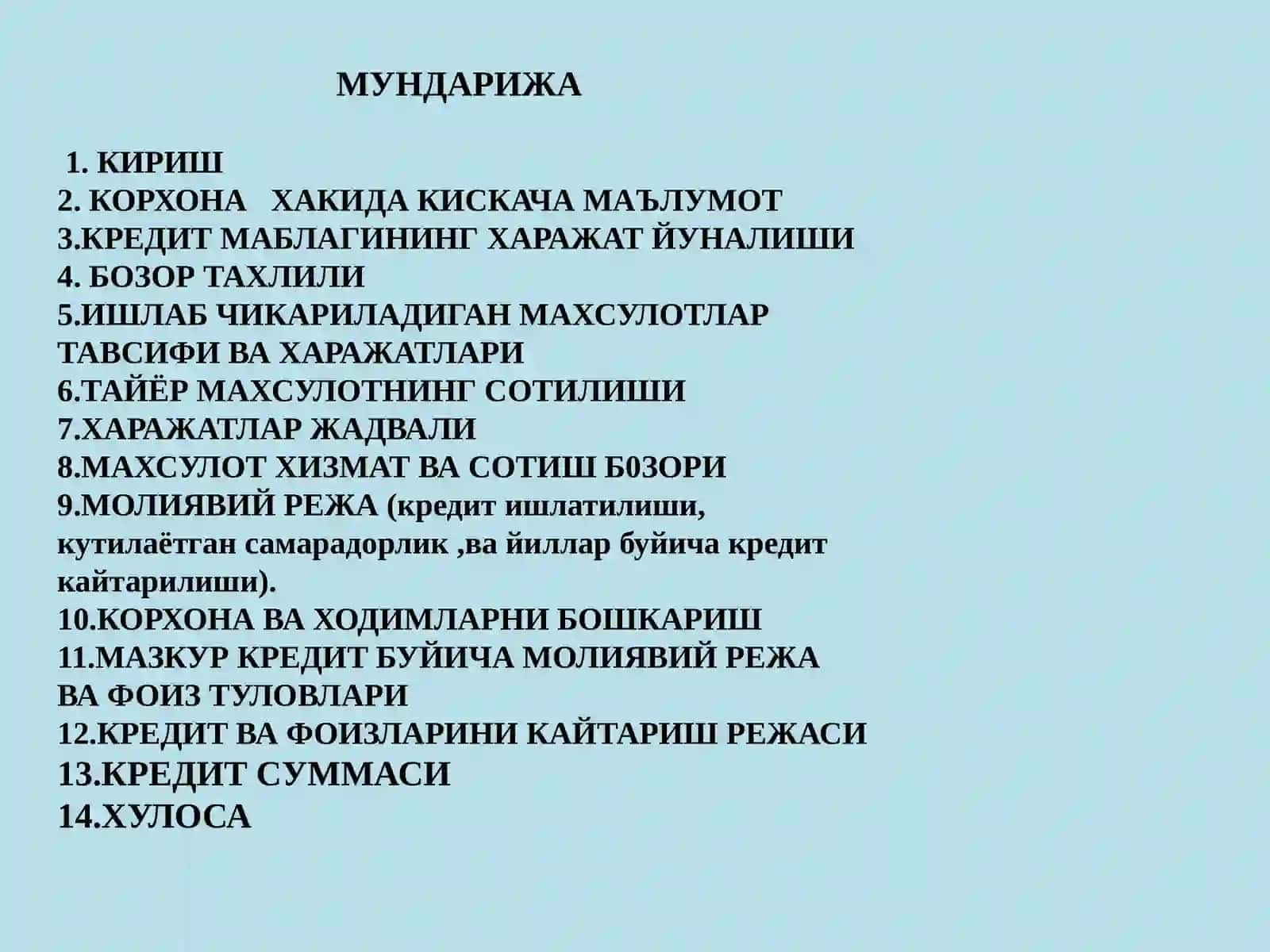 MINI-MEHMONXONA UCHUN BIZNES-REJA 3