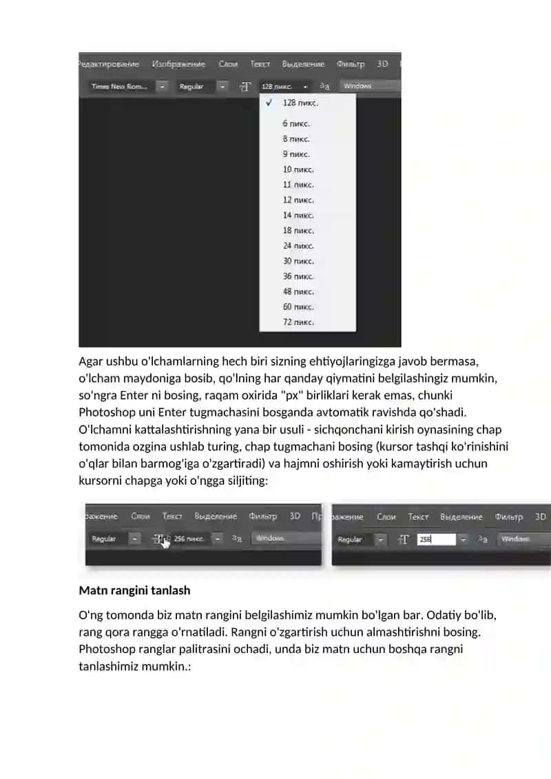 Adobe Photoshop 3