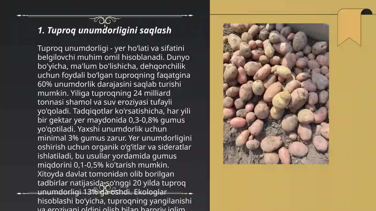 Organik sabzavot, poliz va kartoshka mahsulotlarini yetishtirishda almashlab ekish ahamiyati 3