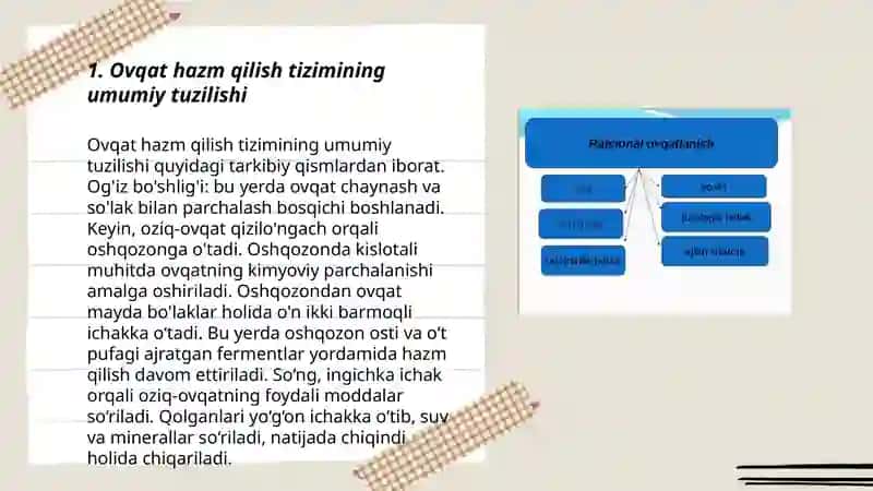 Ovqat hazm qilish va ovqatlanishning yoshga oid fizilogiyasi 3