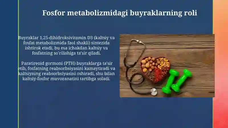 Buyraklarning kaltsiy,fosfor va bikorbonat almashinuvidagi ahamiyati 3