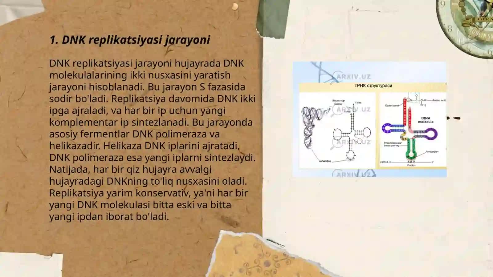 DNK, RNK va oqsil molekulalarining biosentezi 3