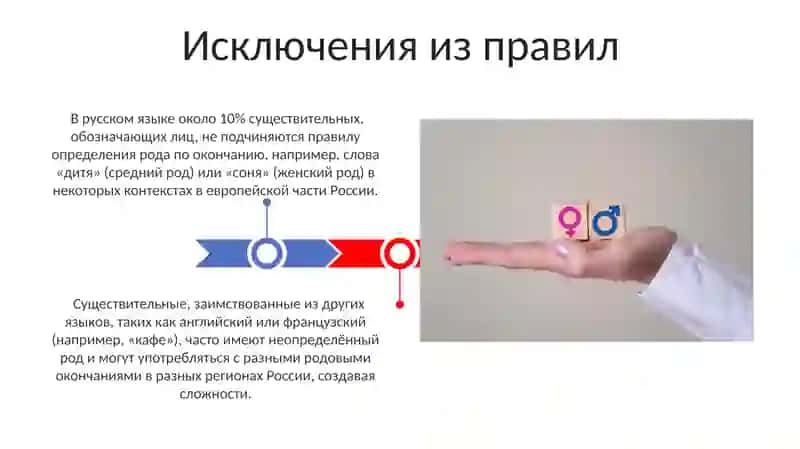 Определение рода имен существительных по значению и окончанию 3