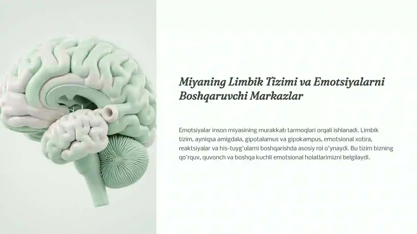 Emotsiya Haqida Psixologik Nazariyalar 3