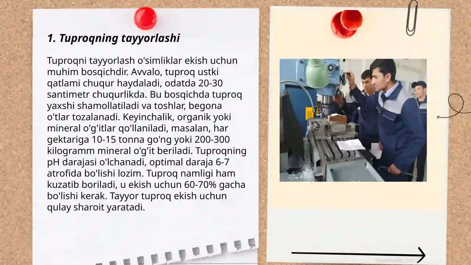 Ko'chatlarni ekishga tayyorlash texnologiyasi 3