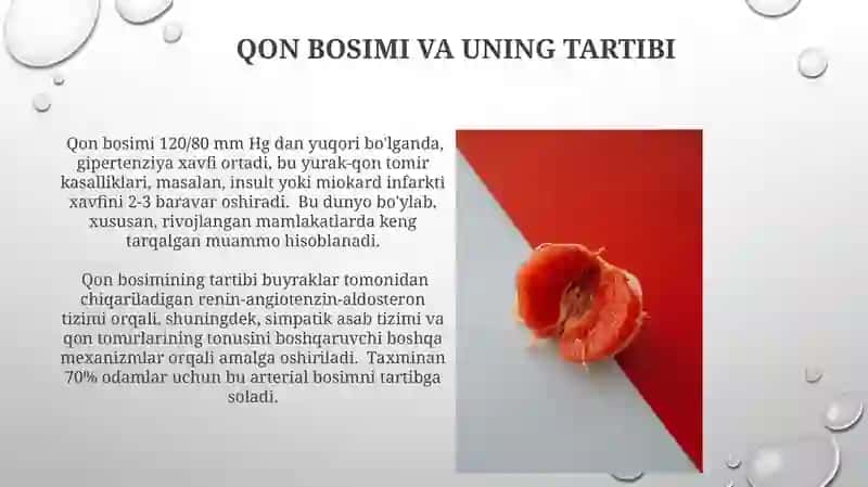 Qon aylanishining biomexanikasi 3