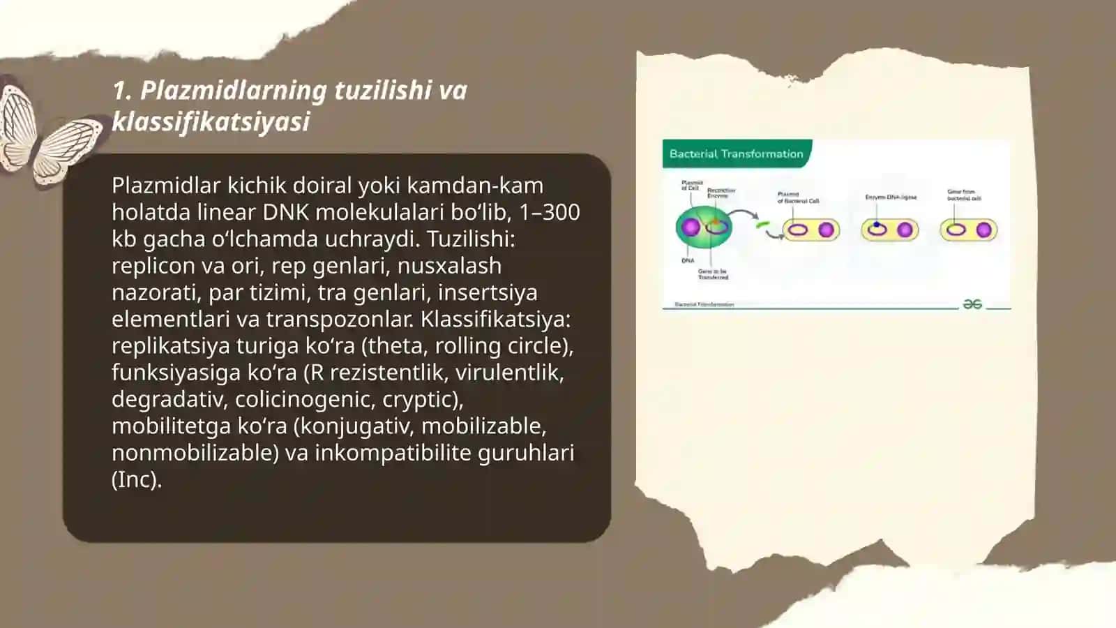 Mikroorganizmlarning genetikasi va õzgaruvchanligi 3