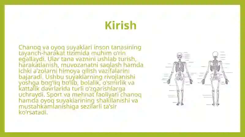 Chanoq va oyoq suyaklarining yoshga nisbatan xususiyatlari. Sport va mehnat faoliyatini chanoq va oyoq suyaklariga ta'siri, rivojlanish nuqsonlari. 3