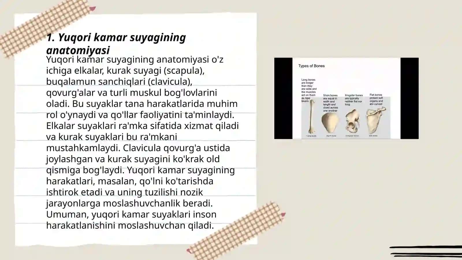 Yuqori va pastki kamar suyaklarining tuzilishi 3