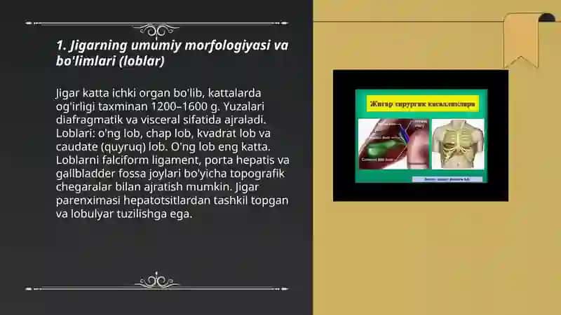 Jigar, taloq va medaosti bezining tuzilishi, topografiyasi va funksional anatomiyasi 3