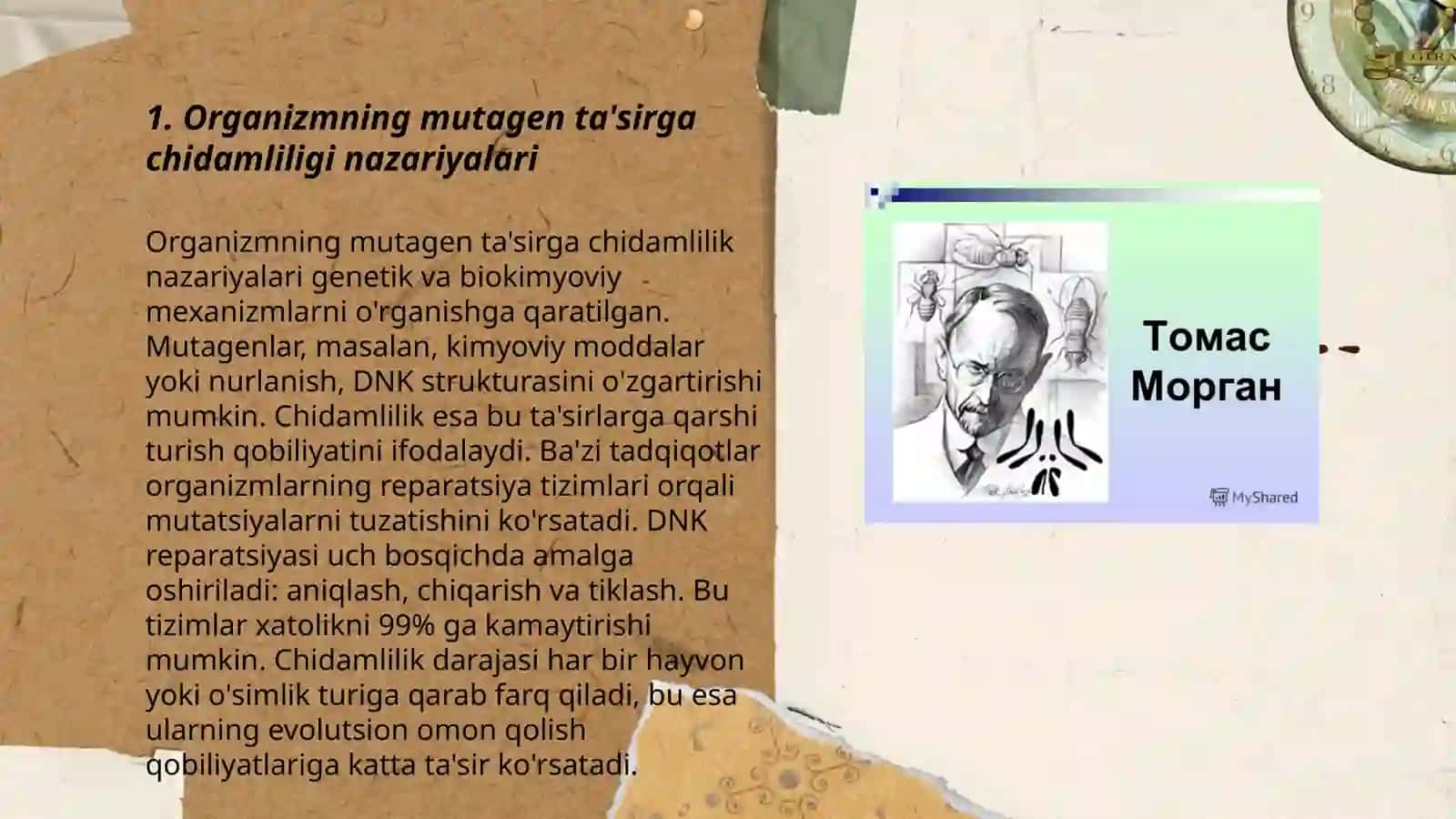 Organizmning mutagen ta'sirga chidamliligi.Tomson Morganning xromosoma nazariyasi. Jins genetikasi 3