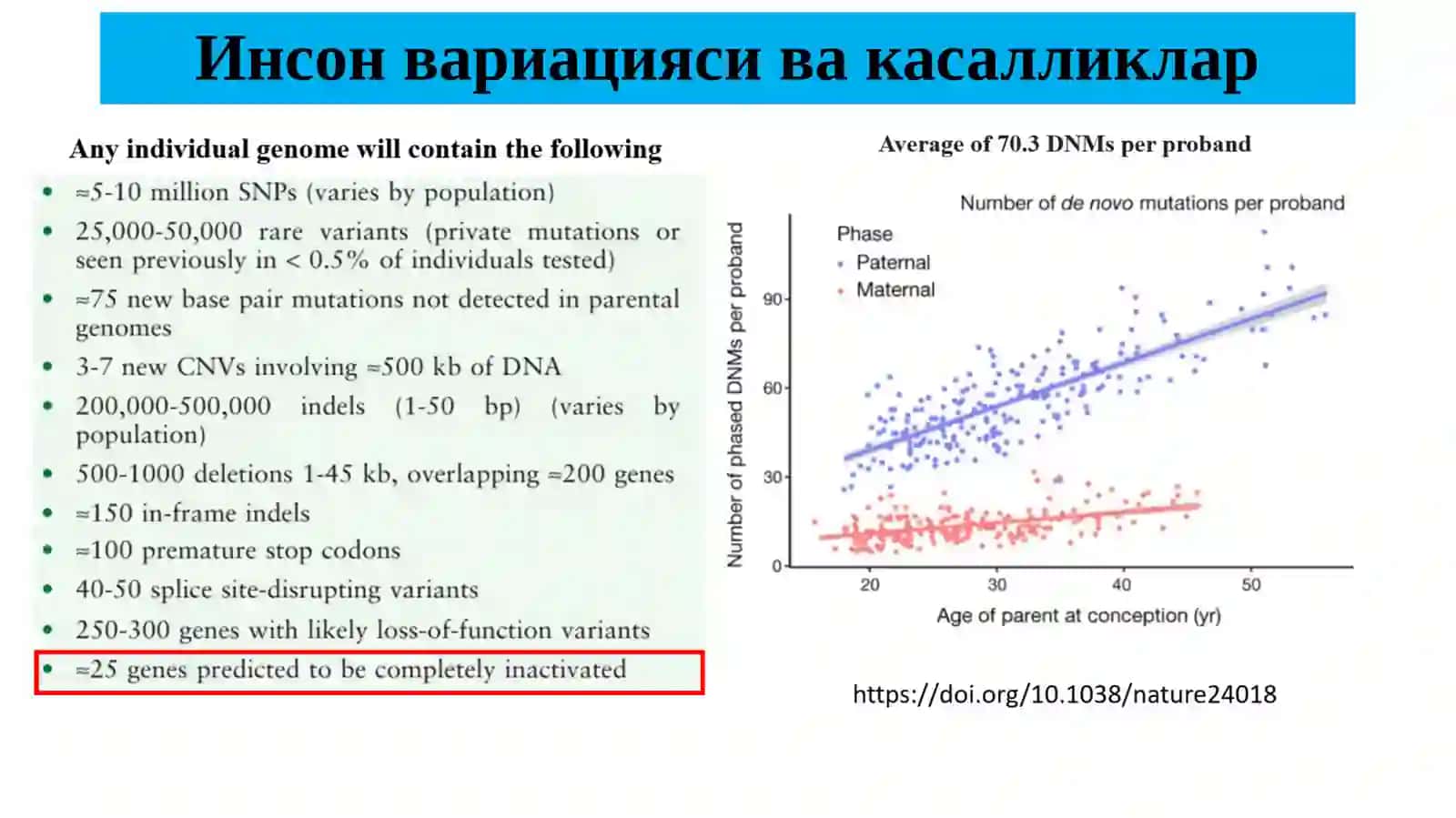 ДНК репликацияси. Транскрипция. Трансляация. Ген регуляцияси 3