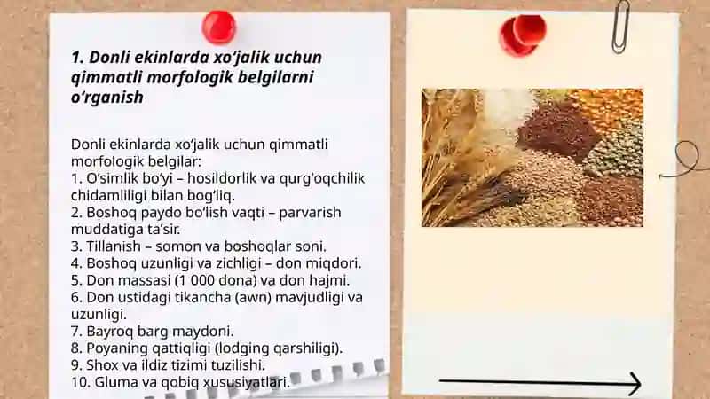 Ekinlarning xoʻjalik boʻlishiga oʻxshash beligilar 3