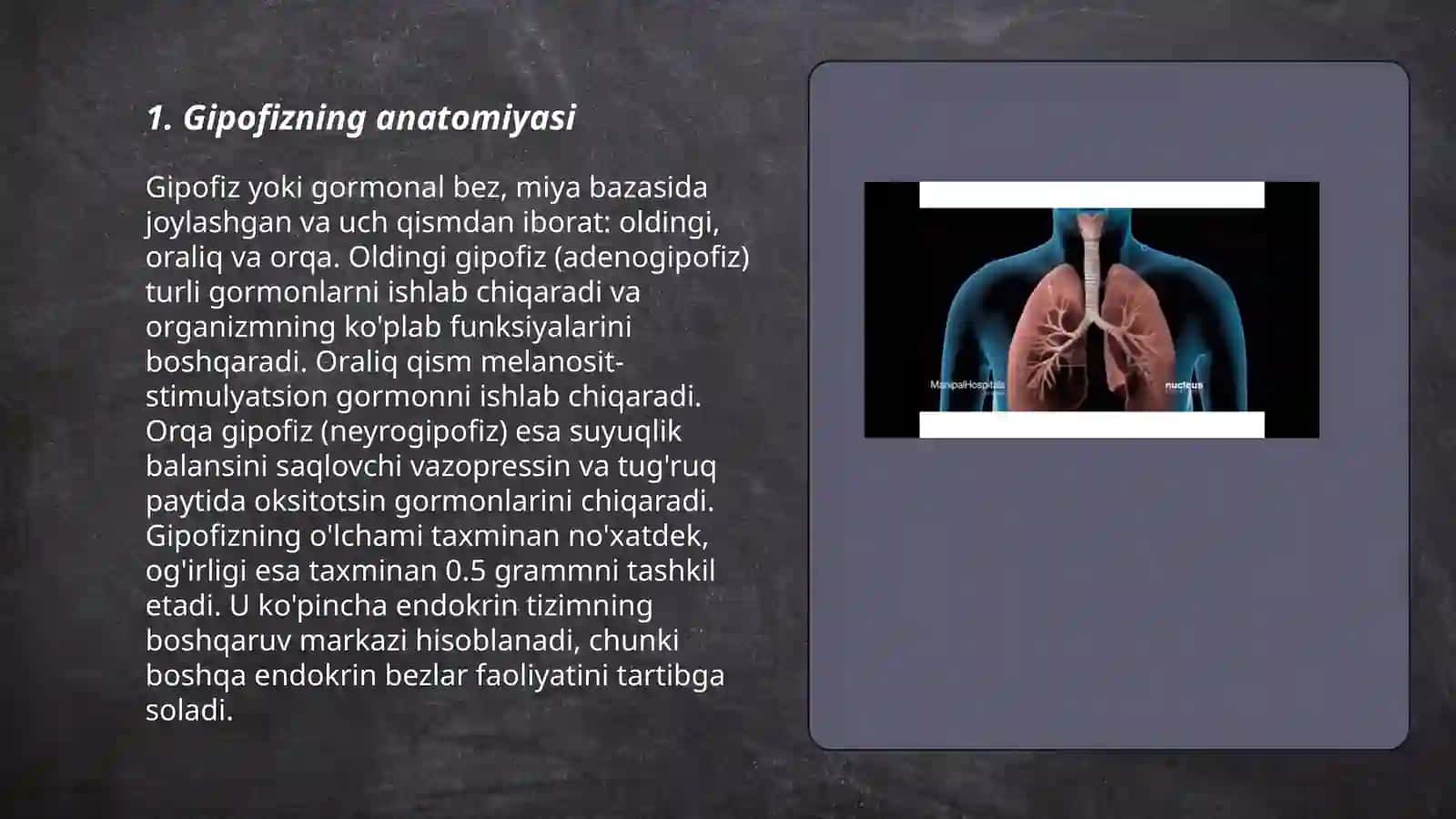 Gipofiz beginning garmonlari va yosh xususiyati 3