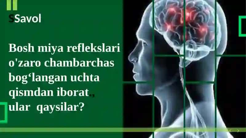 Shartli  reflekslarini  xosil bo’lishi tormozlanish 3