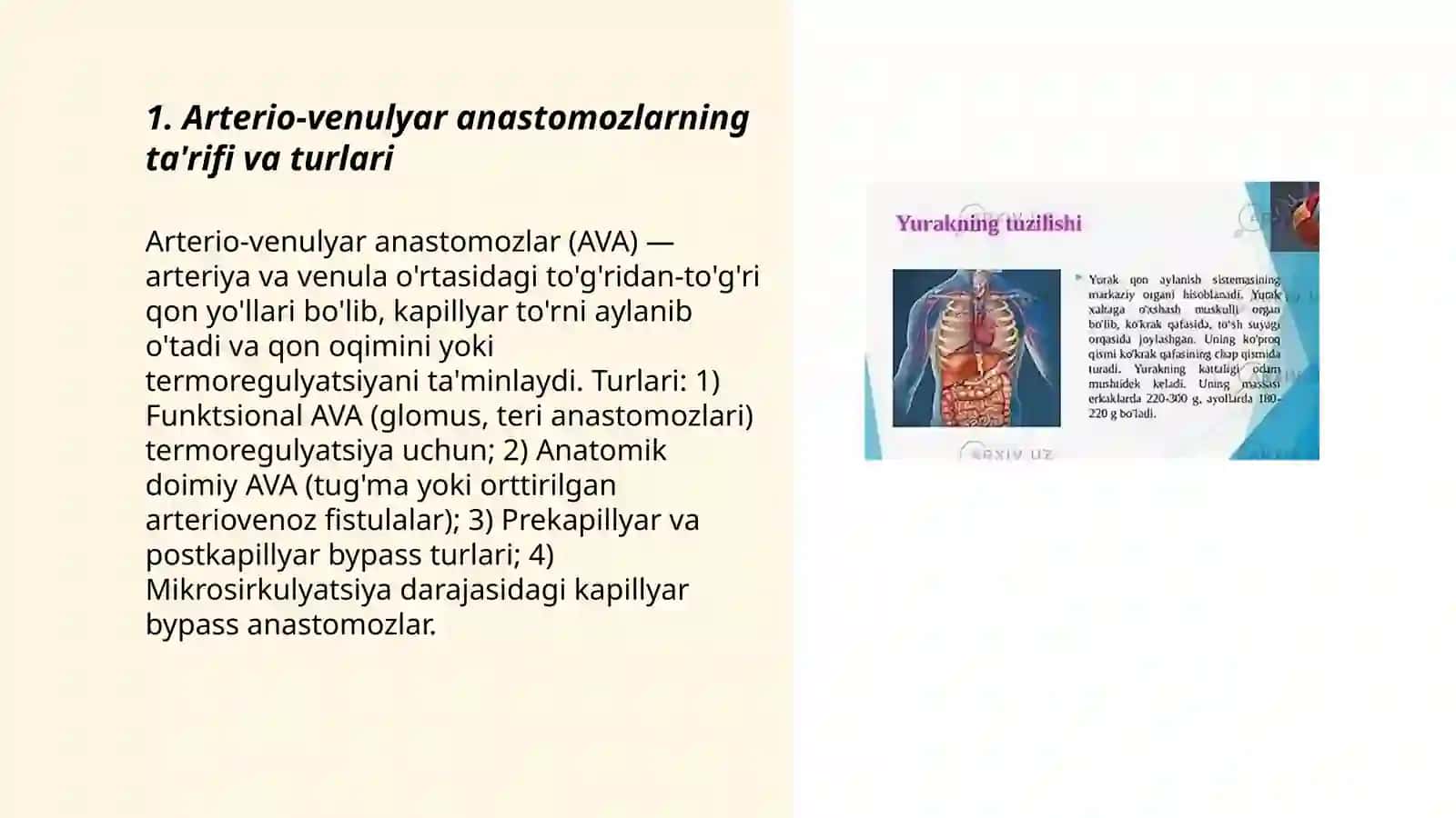 Arterio-venulyar anastomoz. Kapillyarlar. Yurakni taraqqiyoti va tuzilishi. Chaqaloq yuragi 3
