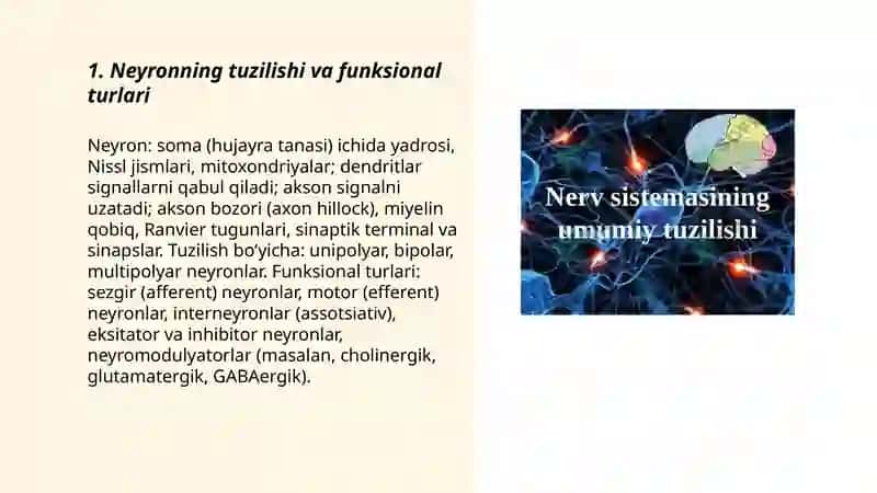 Nerv tizimining umumiy fiziologiyasi 3