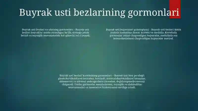 Stress Holatida Buyrak Usti Bezlari Bostlogi Garmonlarining Ro'Li Va Hujayralarining Marfalagik Korinishlari 3