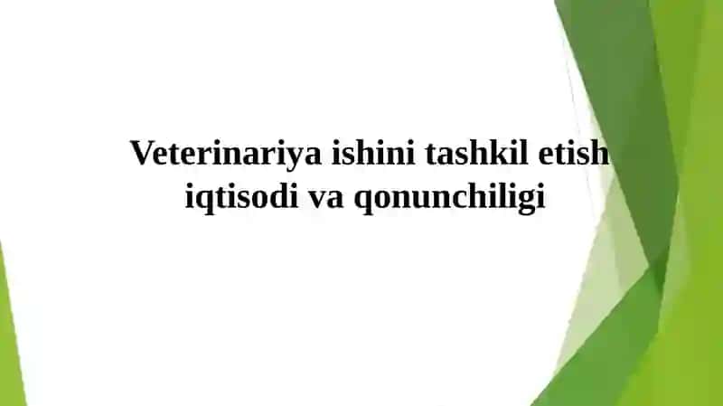 Davronov Mirjalolning Malakaviy Amaliyotdan Tayyorga Taqdimoti 3