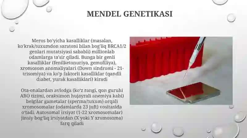 Genlar va Irsiyat 3