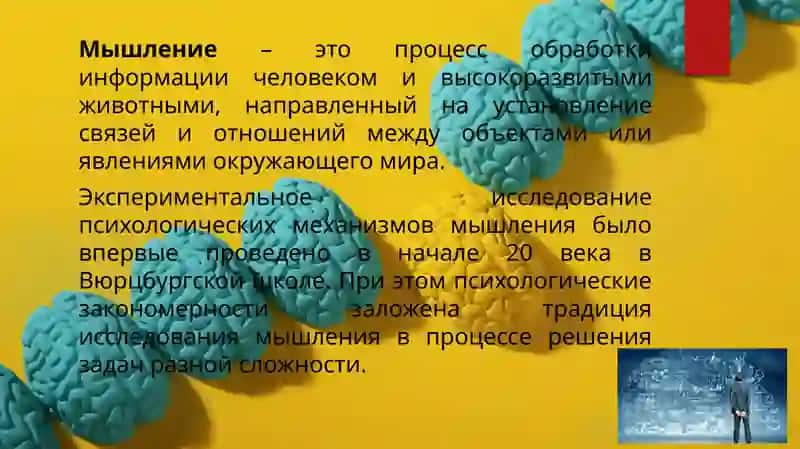 Лекция. Мышление и речь. 3