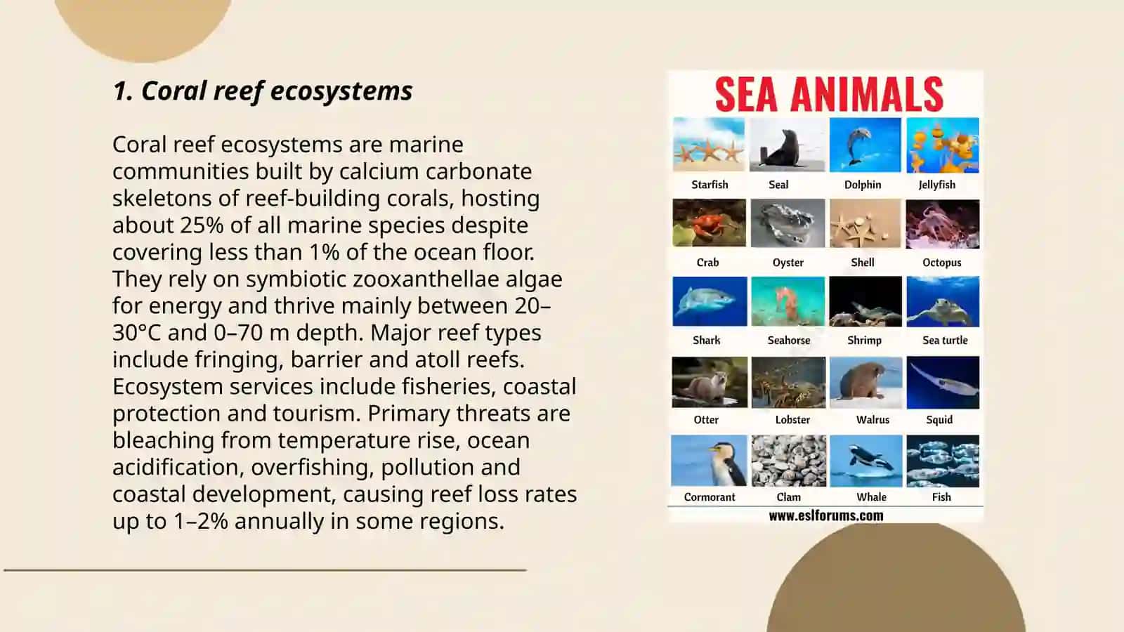 Coral reef ecosystems 3