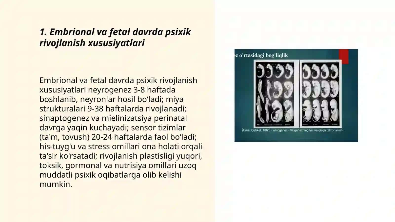 Embrional va fetal davrda psixik rivojlanish xususiyatlari 3