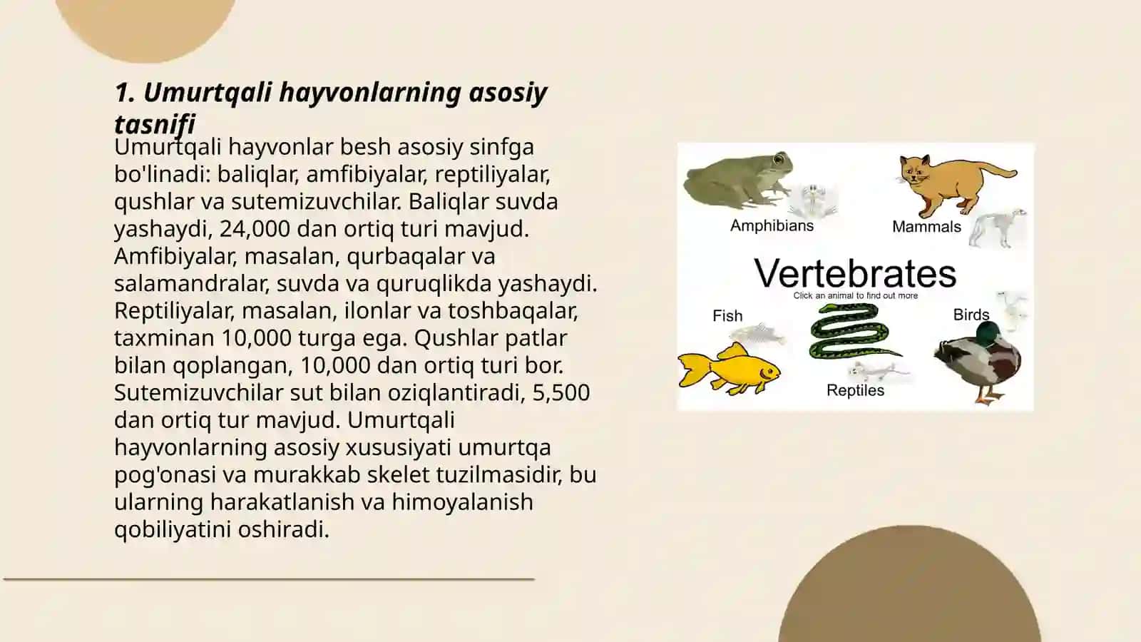 Umurtqalilar kenja tipining zamonaviy tasnifi, kelib chiqishi va evolyutsiyasi 3