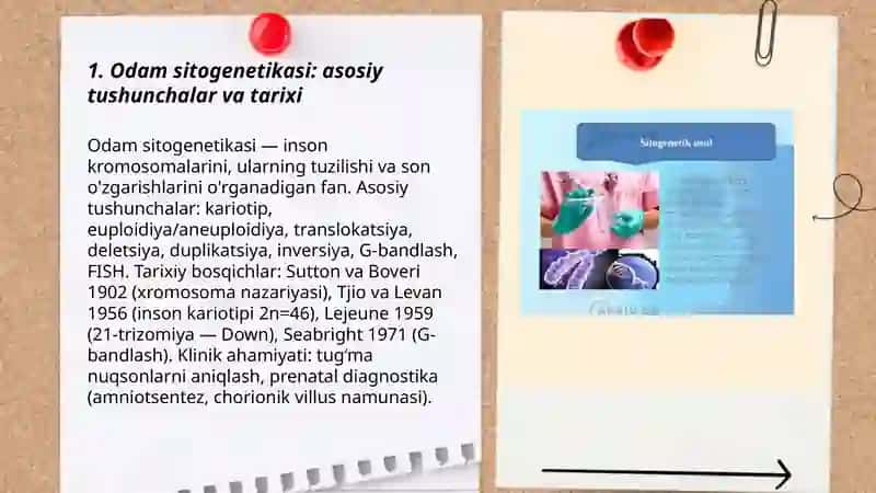 Odam genetikasining o'rganish usullari 3