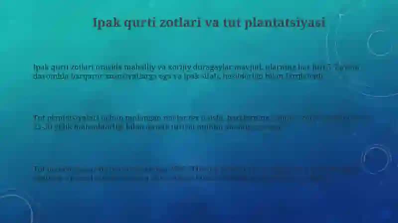 Ipak qurtini boqish agrotexnikasi 3