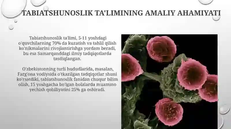 Tabiatshunoslikni oʻqitishning tarbiyaviy ahamiyati 3