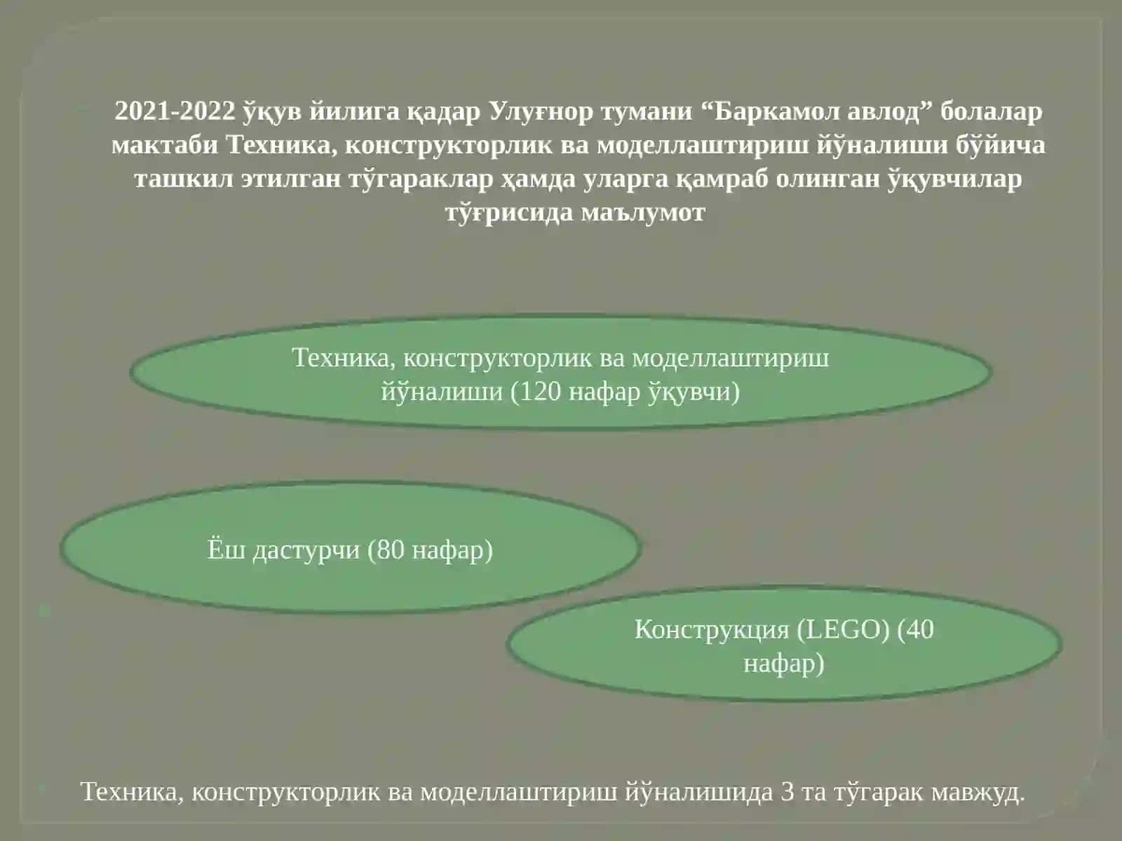 Маданият ва санъат, Ҳунармандчилик ва қўл меҳнати йўналиши бўйича ташкил этилган тўгараклар ҳамда уларга қамраб олинган ўқувчилар тўғрисида маълумот 3