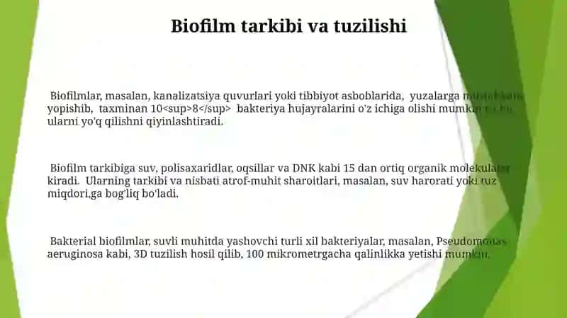 Bakteriyalarning bioplenkasi 3