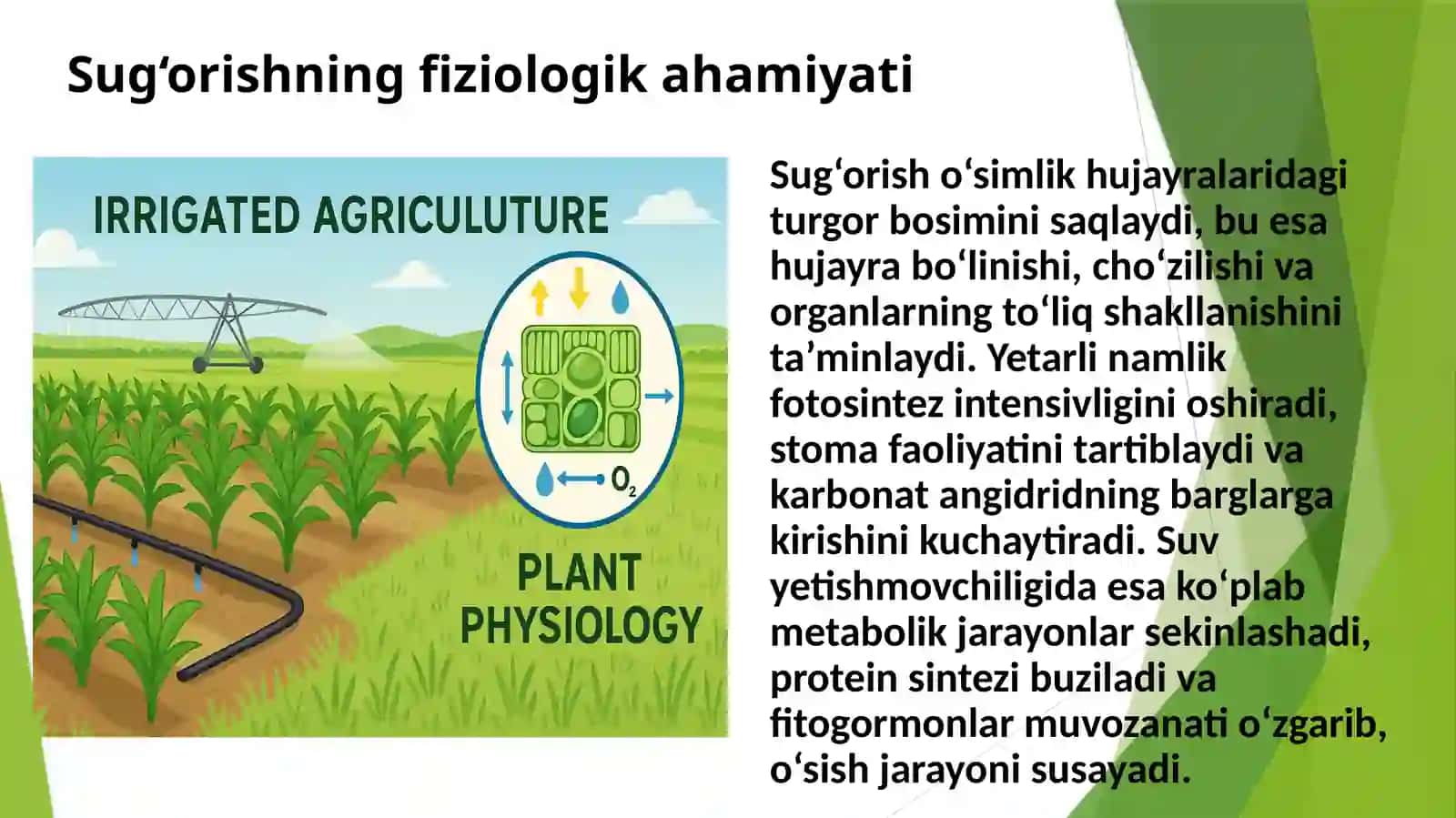 Sugʻoriladigan dehqonchilikning fiziologik asoslari 3