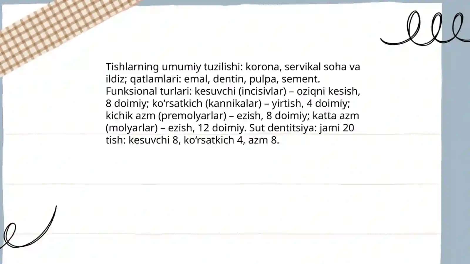 Tishlar,tish qatorlari. Sut tishlar va doimiy tishlarining chiqish mudatlari 3