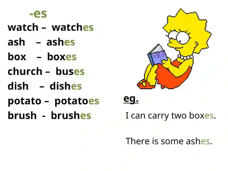 Singular & Plural Nouns 3