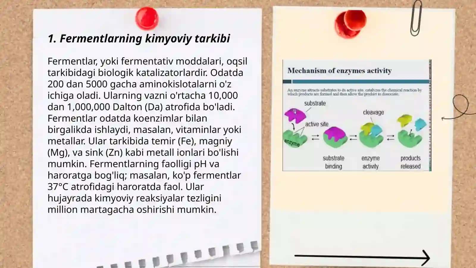 Fermentlarning xossalari 3